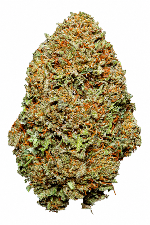 Bubba
