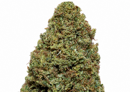 Super Silver Haze