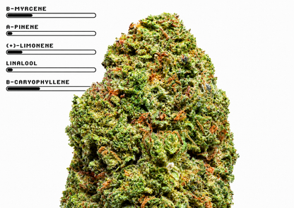 Grape Cali
