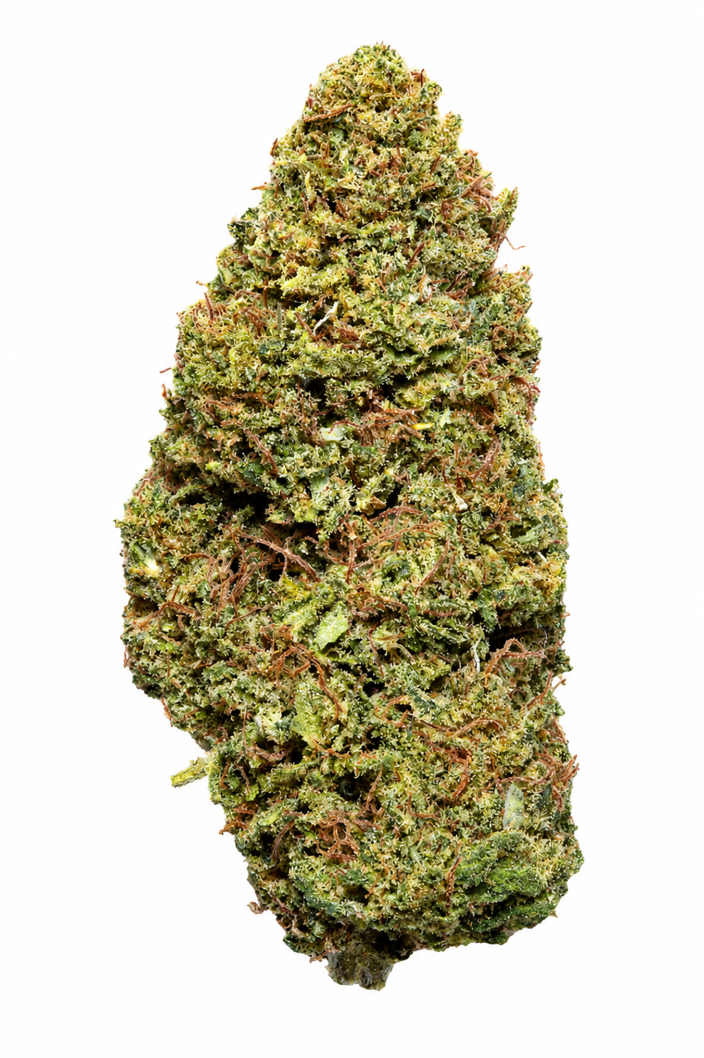 Super Silver Haze