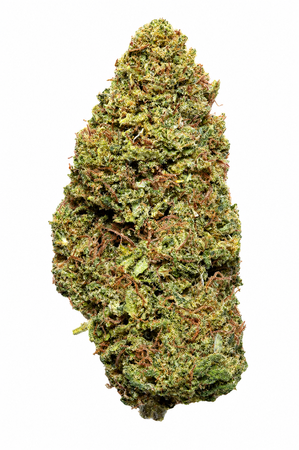 Super Silver Haze