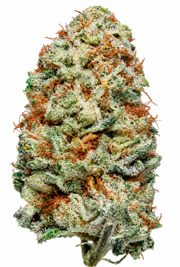 White Russian CBG